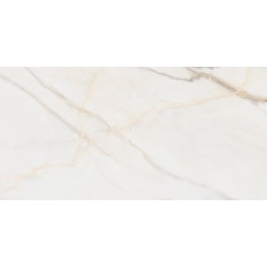 керамогранит Artkera Group GP60120PUR09M