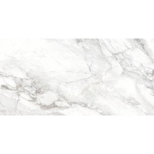 керамогранит Delacora D120242M